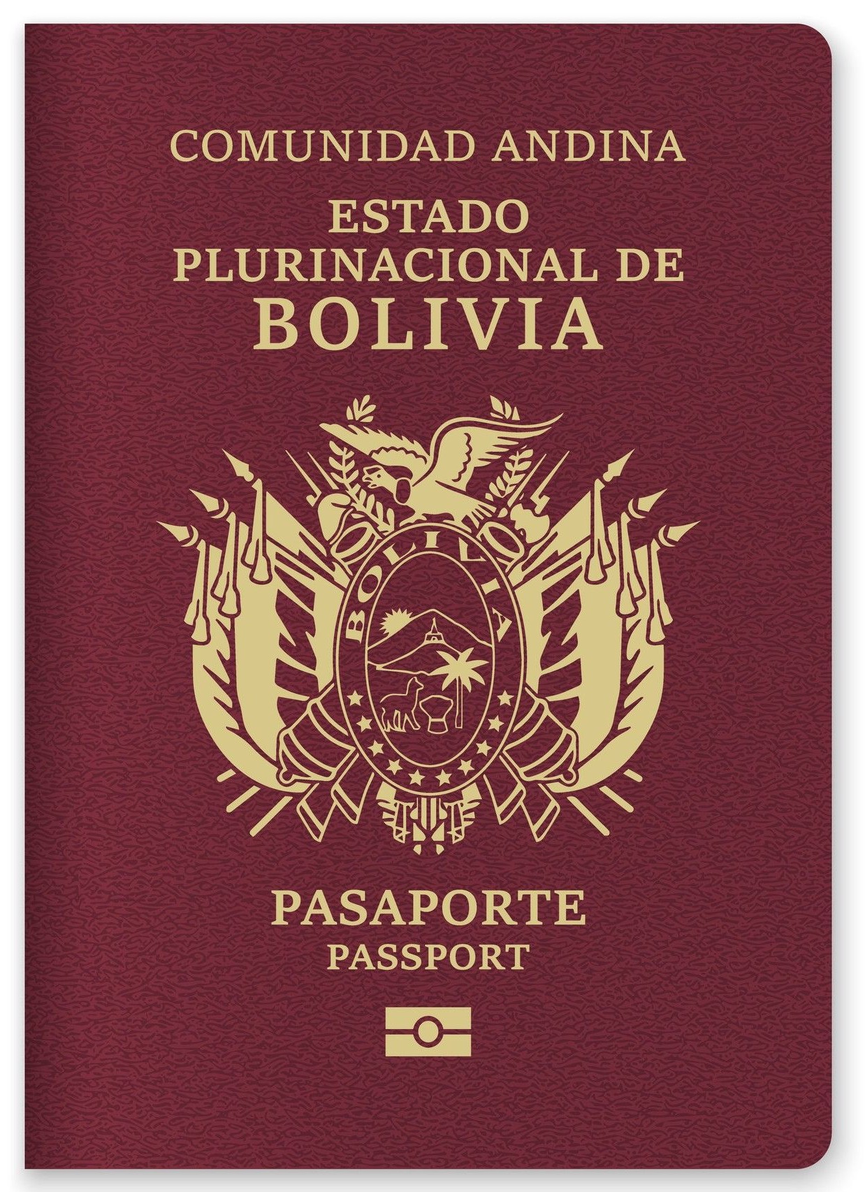 Bolivia Passport