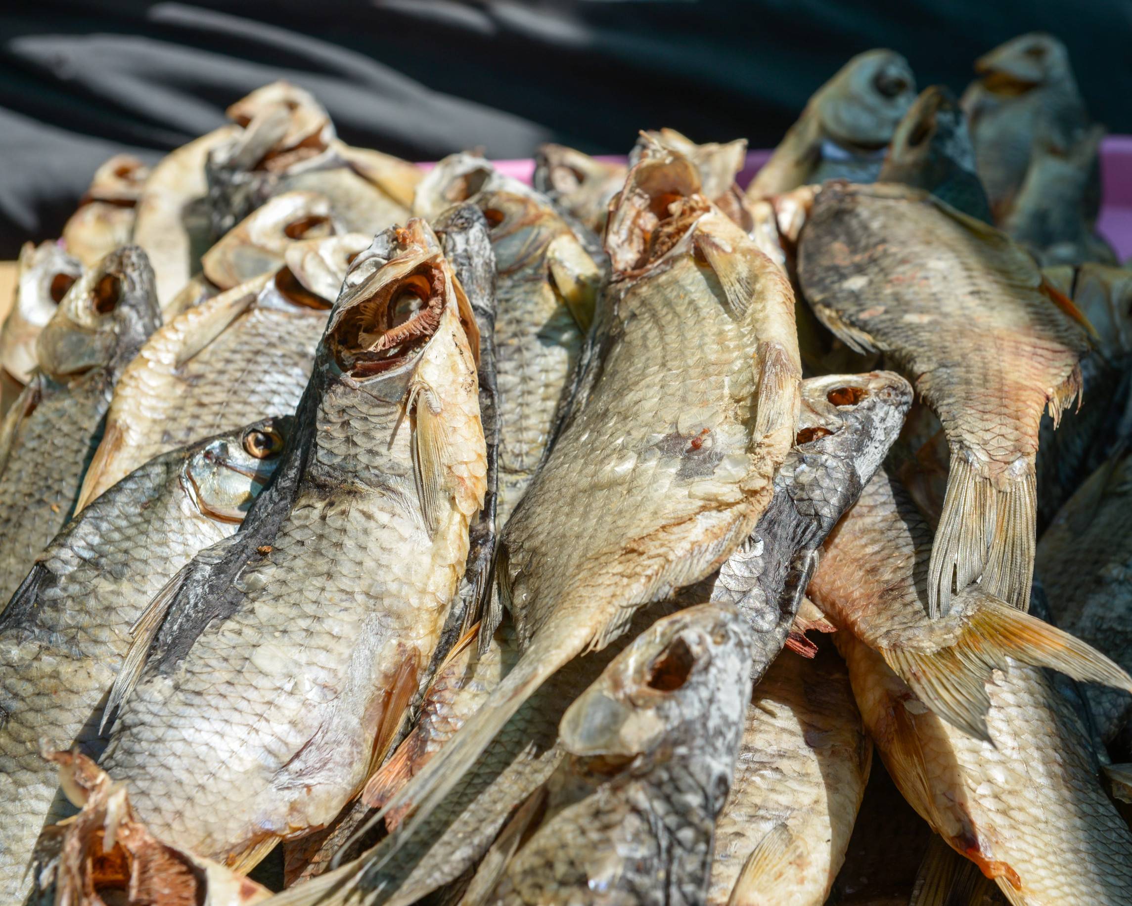 Dried Fish
