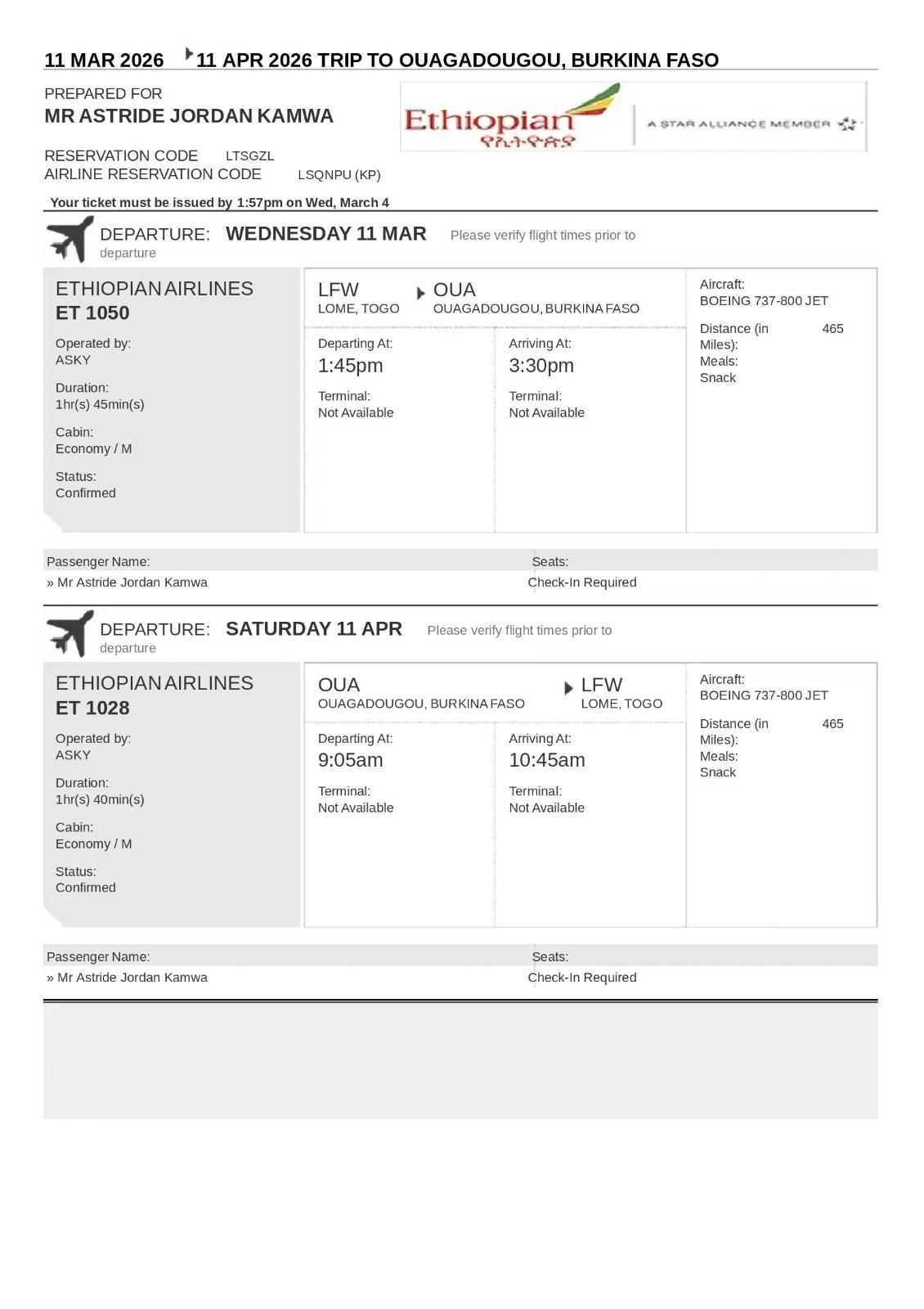 Flight Ticket Sample