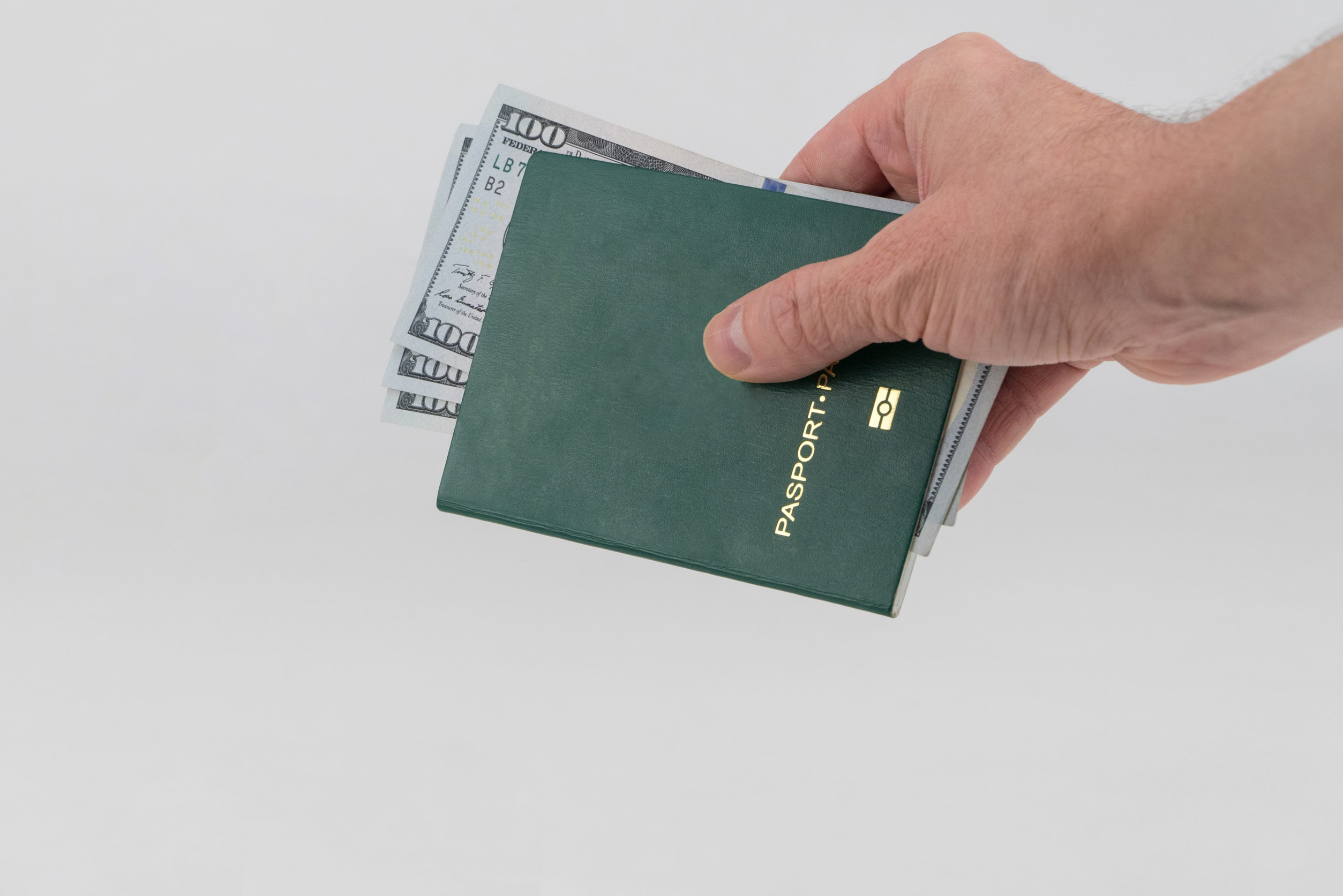 Green Passport with Dollars