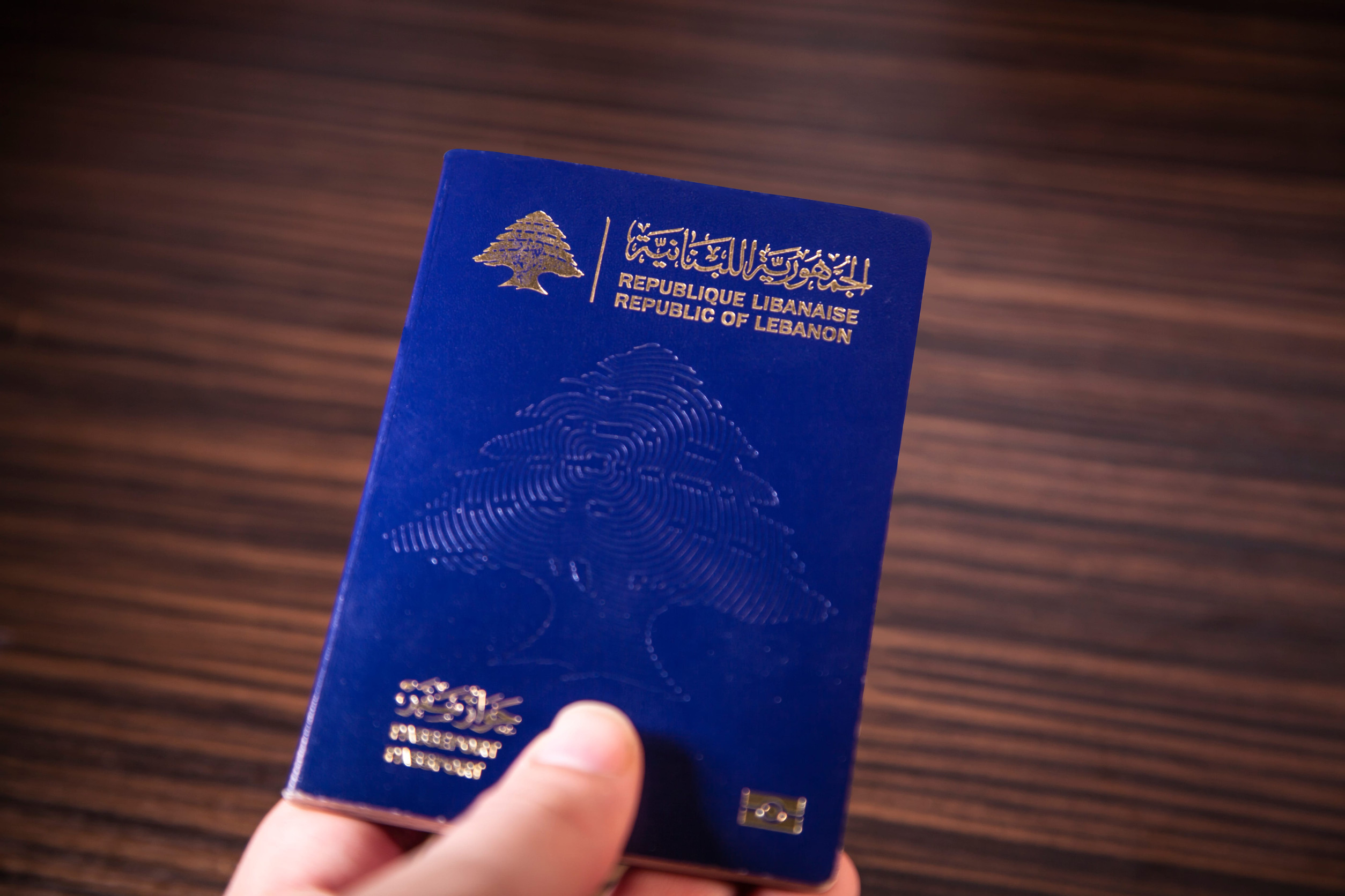 Hand holding Lebanese passport