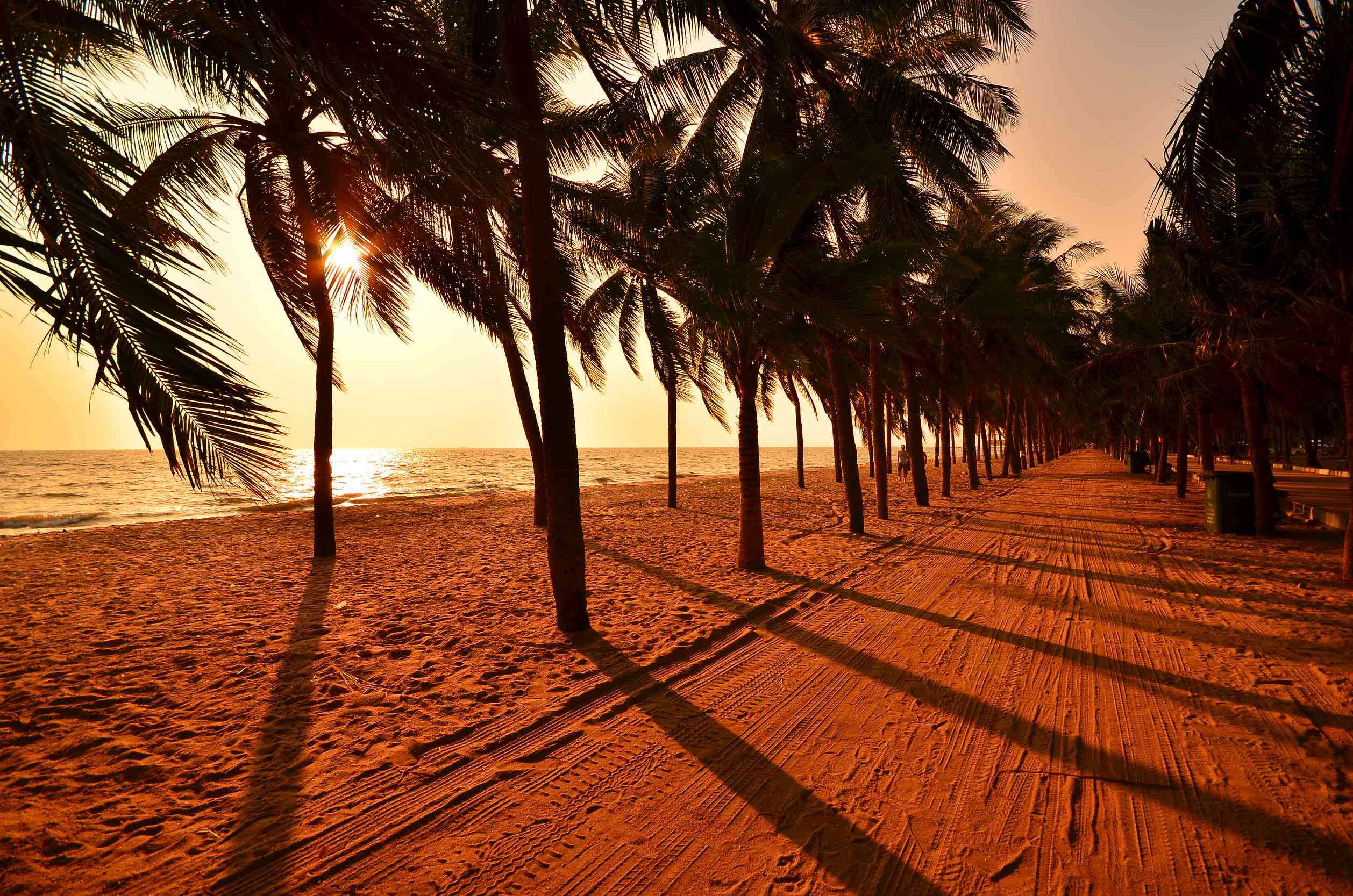 Palm Tree Beach At Sunset Palm Tree Beach At Sunset